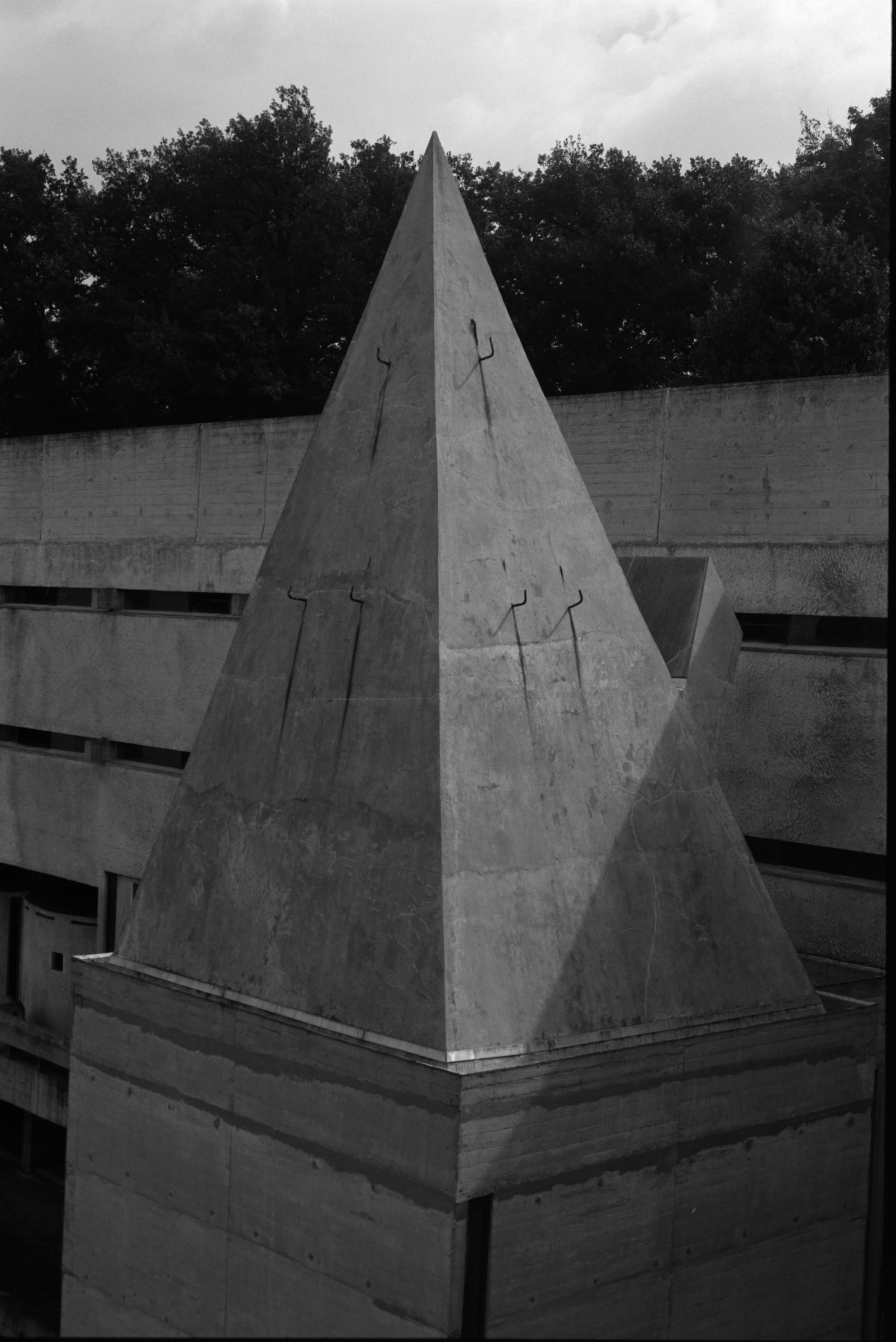 AHP F1993 08 002 sc240823 img16 NLP